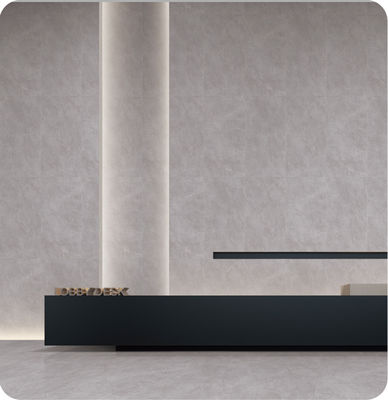 Αγορά Αξία AAA Ανθεκτικό σε λεκέδες και αντιβακτηριακό Γκρι Ματ Πορσελάνη 750x1500mm Για καθιστικό και μπάνιο σε απευθείας σύνδεση κατασκευή