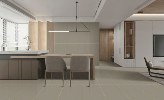 Αγορά Πλακάκι δαπέδου πορσελάνης 60x120cm με υφή, Starry Glaze, Βαθμός AAA σε απευθείας σύνδεση κατασκευή