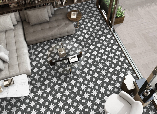 Γκρι πλακάκια τοίχων 250x250mm Κεραμικά Ρουστικά πλακάκια για το καθιστικό και ανθεκτικά πλακάκια δαπέδου για το τραπεζαρία