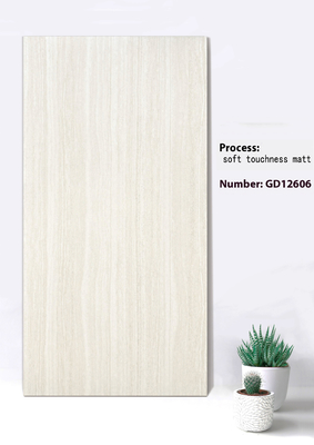 Μπεζ και γκρι 600x1200mm No Fade Soft Touchness Matt background Κεραμίδας τοίχου για τετράγωνο