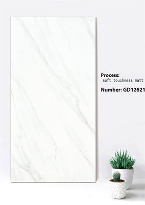 Πλακάκια Πρόσοψης από Πυρότουβλο 600x1200mm σε Jazz White Deep Gray