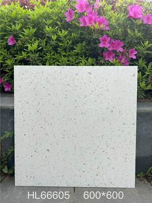 Σπουδαία και κομψή μπεζ 600x600mm εσωτερικό πάτωμα κεραμικά πλακάκια Terrazzo για τραπεζαρία