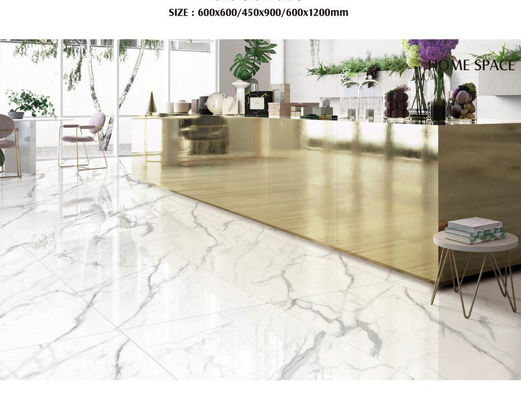 Αντι αλκαλικές πλακίδες πορσελάνης 600x600mm με εκτύπωση inkjet